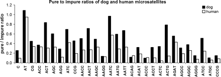 Dogs have elevated purity of mono-, di-, tri-, and tetranucleotide repeats when compared with humans (P < 0.0001, paired-sample t-test). Black bars: dogs; white bars: humans. Repeats of 24–45 bases with 0–3 interruptions in the dog and human genomes were identified using TRF. Microsatellite classes propagated by mobile DNA elements in either species and classes for which either species had an insignificant number (<5) of pure occurrences were eliminated.