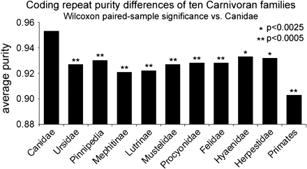 Elevated slippage mutation predates the canid radiation and dog domestication. Average repeat purity was determined by comparative sequencing of 55 orthologous trinucleotide repeat-coding regions for 42 mammals and assaying the number of interruptions to the canonical repeat sequence for each species. Canid repeats were significantly more pure than all noncanids (nonparametric Wilcoxon paired-sample rank test, see Methods for details). Note that the theoretical minimum purity for repeats of amino acids with 4 possible codons ranges from 0.75 to 0.8, and with 2 codons, this theoretical minimum is 0.83.