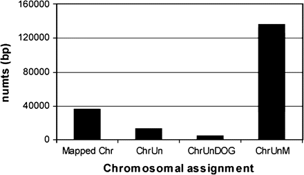 Chromosomal assignment of the BLAST hits homologous to the domestic cat mtDNA genome. Mapped Chr—hits mapped to the domestic cat chromosomes (see also Figures 4 and 5). ChrUn—hits assigned to an “unknown chromosome.” ChrUnDOG—hits assigned to an “unknown chromosome, but aligning with the dog genome.” ChrUnM—hits assigned to an “unknown chromosome aligning with mtDNA.”