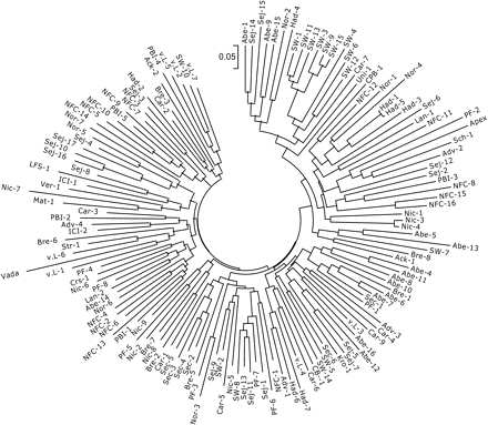 Neighbor-Joining dendrogram derived from Jaccard similarity estimates using the amplified fragment length polymorphism (AFLP) fingerprint data scored in a set of 148 barley cultivars.