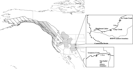 The native range of cutthroat trout is shown as a filled gray color, and the native range of rainbow trout is shown overlaid in slanted lines. Magnified schematics of the sample sites, Cony Creek and Graneros Creek, are shown with hybrid populations between hatch marks. Double hatch marks signify a natural waterfall barrier is present.