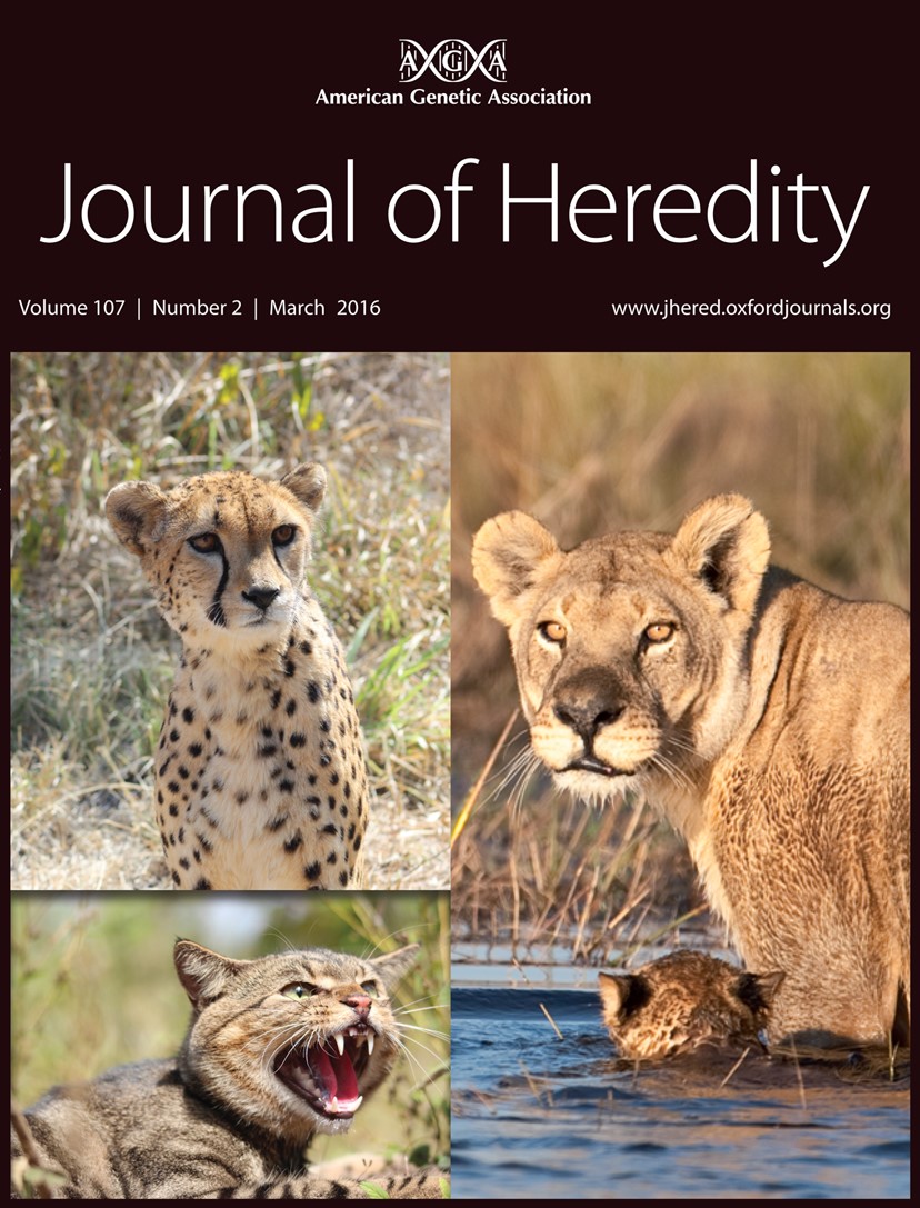 issue cover