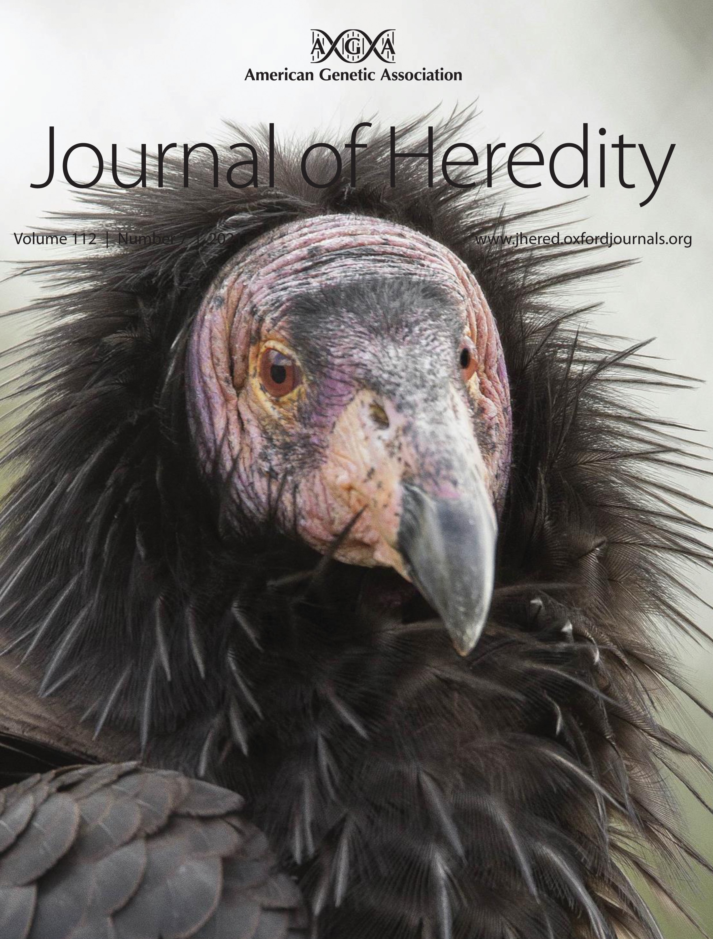 issue cover