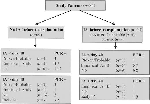 Polymerase chain reaction (PCR) results and clinical evidence of invasive aspergillosis (IA) after allogeneic stem cell transplantation. * Eighteen patients received empirical amphotericin B (AmB) for febrile neutropenia not responding to broad-spectrum antibiotic therapy; in 9 of them, fever was retrospectively explained by non-Aspergillus infections (n = 7) or graft-versus-host disease (n = 2). † One PCR-positive patient developed probable IA on day 100 after transplantation. ‡After PCR screening was stopped, 2 patients developed proven or probable IA on days 90 and 156 after transplantation (1 each PCR positive and PCR negative). § Continuously screened patients with early-onset IA.
