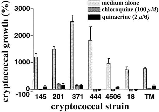 Susceptibility of diverse cryptococcal strains to chloroquine and quinacrine. Indicated Cryptococcus neoformans strains were incubated in the presence of medium alone, 100 μM chloroquine, or 2 μM quinacrine, after which colony-forming units were determined by dilution and spread plates. Incubations were for 18 h except for the more slowly replicating strain 18, which was incubated for 30 h. Data are mean ± SE for 2 separate experiments, each done in duplicate. For all strains, P ⩾ .01 in the presence of chloroquine or quinacrine vs. medium alone.