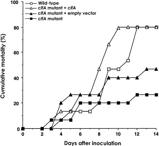 Cumulative mortality in NMRI mice of experiment 1 after intravenous inoculation with 1.4–1.9×107 cfu/mouse of Staphylococcus aureus wild-type strain Newman, strain DU5876 (clfA) strain DU5898 (clfA mutant + clfA) or strain DU5899 (clfA mutant + empty vector). At the start of the experiment, n=12–15