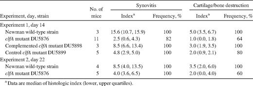 Severity and frequency of histologic joint affection in mice inoculated with wild-type, clfA mutant, or clfA complementing Staphylococcus aureus strains.