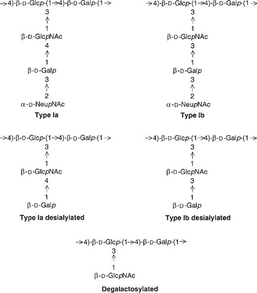 Structure of repeating units of group B streptococcus types Ia and Ib capsular polysaccharides. Native, desialylated types Ia and Ib and the degalactosylated common structure of types Ia and Ib are shown.