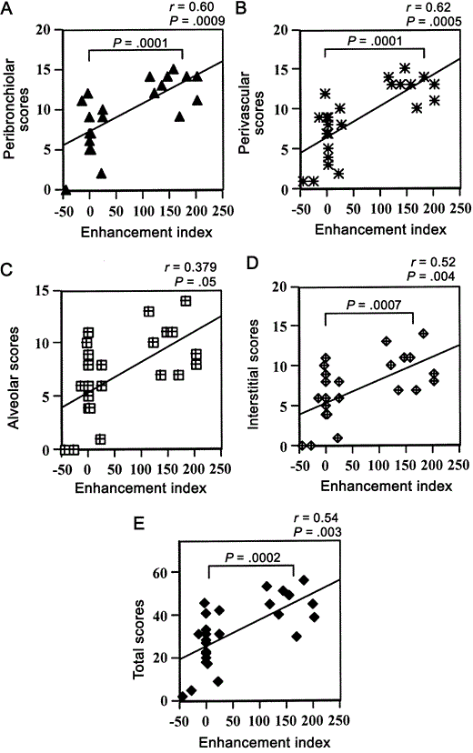 Correlation analysis between various histological scores and enhancement indices of the 6 groups of monkeys. Because of overlap in data, some of the points represent multiple data points, which could not be shown in the graph