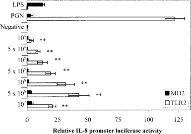 Response of Toll-like receptor 2 (TLR2)– and MD2-transfected HeLa cells to live doses of early log D39, as measured by interleukin (IL)–8 promoter activity. All values displayed for TLR2 activity were first normalized with the values for the constitutive Renilla control and then with vector control. Data are expressed as mean±SE for 2 experiments in quadruplicate. White bars signaling via TLR2 at different cfu/mL of live bacteria. Black bars signaling via MD2. Lipopolysaccharide (LPS) was used as an MD2-positive control, and peptidoglycan (PGN) from Staphylococcus aureus (1 μg/mL) was used as a TLR2-positive control. LPS (1 μg/mL) was used in an ultrapure preparation from Escherichia coli K235, and the negative control was Dulbecco’s modified Eagle’s medium plus brain-heart infusion and 10% heat-inactivated fetal calf serum. **P<.005, signaling vs. negative control (1-way analysis of variance)