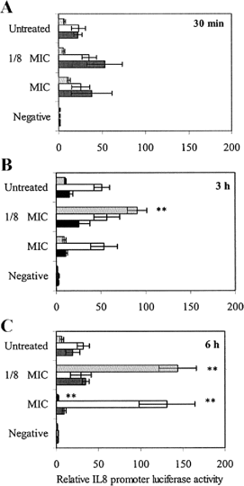 Toll-like receptor 2–mediated interleukin (IL)–8 promoter activity in response to Streptococcus pneumoniae treated with penicillin during the lag (gray bars) early log (white bars) or stationary (black bars) phase for 30 min (A) 3 h (B) or 6 h (C). The negative control was brain-heart infusion, 10% heat-inactivated fetal calf serum, Dulbecco’s modified Eagle’s medium, and penicillin at MIC penicillin concentrations. Data are expressed as mean±SE for 4 separate experiments. The paired t test was used to compare values for penicillin-treated live bacteria with untreated controls. **P⩽.005, vs. untreated controls