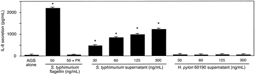 Secretion of interleukin (IL)-8 by AGS cells after incubation with Salmonella typhimurium flagellin and bacteria-free S. typhimurium supernatants, but not Helicobacter pylori-conditioned medium. AGS cells were incubated with or without S. typhimurium flagellin in the absence or presence of proteinase K (PK; 1 µg/µL) or varying protein concentrations of S. typhimurium or H. pylori strain 60190 filtrate. IL-8 production in coculture supernatants was quantified by ELISA. Lowest S. typhimurium supernatant concentration tested was 30 ng/mL, which represents a 1:10,000 dilution of a S. typhimurium filtrate. Data represent at least 3 independent experiments performed in triplicate and are expressed as picograms per milliliter. Bars, SD. * P < .05, vs. AGS cells in medium alone.
