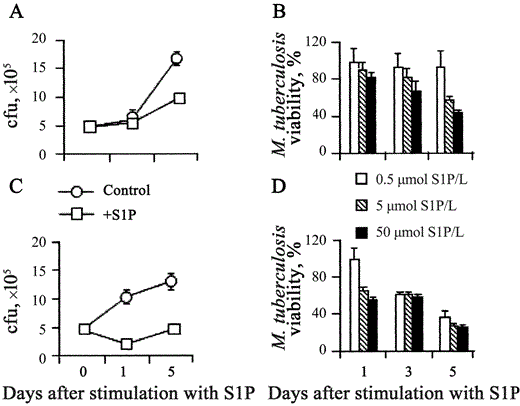 Inhibition of the intracellular growth of Mycobacterium tuberculosis in human macrophages, in a dose-dependent fashion, by sphingosine 1-phosphate (S1P). Human monocyte-derived macrophages (MDMs; A and B) and differentiated THP-1 (dTHP1) cells (C and D) were infected at an MOI of 1 and then stimulated with 5 mmol S1P/L for 1 and 5 days (A and C) or infected with 0.5, 5, or 50 mmol S1p/L for 1, 3, or 5 days (B and D). Nos. of colony-forming units (cfu) are shown as the mean . SD of triplicate values. MDM data are representative of 5 individual experiments (A), and dTHP1 cell data are representative of 3 different experiments (C). Data are expressed as the mean . SD of the percentages of M. tuberculosis viability, calculated in 3 separate experiments performed on both different donor-derived MDMs (B) and dTHP1 cells (D). The percentage of M. tuberculosis viability was calculated as follows: (cfu from M. tuberculosis-infected S1P-treated macrophages/cfu from M. tuberculosis-infected control macrophages) × 100. (A) P = NS and P = .04; (C)P = .007 and P = .0002, vs. M. tuberculosis-infected control macrophages 1 and 5 days after infection, respectively.