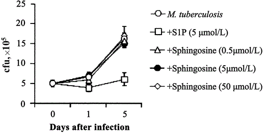 Inhibition of the intracellular growth of Mycobacterium tuberculosis in human macrophages by sphingosine 1-phosphate (S1P) but not by sphingosine. Differentiated THP-1 (dTHP1) cells were infected with M. tuberculosis at an MOI of 1 and then stimulated or not with 5 mmol S1P/L or with 0.5, 5, or 50 mmol sphingosine/L. At the indicated times, cells were tested for the intracellular growth of M. tuberculosis by use of a colony-forming unit (cfu) assay. Data are expressed as the mean . SD of triplicate values.