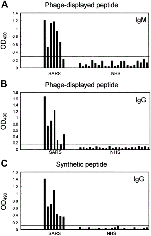 ELISA reactivity of phage clone SP1-1 and synthetic peptide SP3M with serum samples from patients with severe acute respiratory syndrome (SARS) vs. samples of normal human serum (NHS) from healthy control subjects. A, Serum IgM was captured by anti-human IgM antibodies and was incubated with 1×109 pfu of phage clone SP1-1. In patient samples, IgM against SP1-1 was further detected as described in Materials and Methods. The cutoff value was calculated as 0.294 (horizontal line). B, Serum IgG was captured by anti-human IgG antibodies and was incubated with 1×109 pfu of phage clone SP1-1. In patient samples, IgG against SP1-1 was further detected as described in Materials and Methods. The cutoff value was calculated as 0.148 (horizontal line). C, Detection of SARS-specific serum antibodies by synthetic peptide SP3M. In patient samples, IgG was further detected as described in Materials and Methods. The cutoff value was calculated as 0.139 (horizontal line). OD490 , optical density at 490 nm.