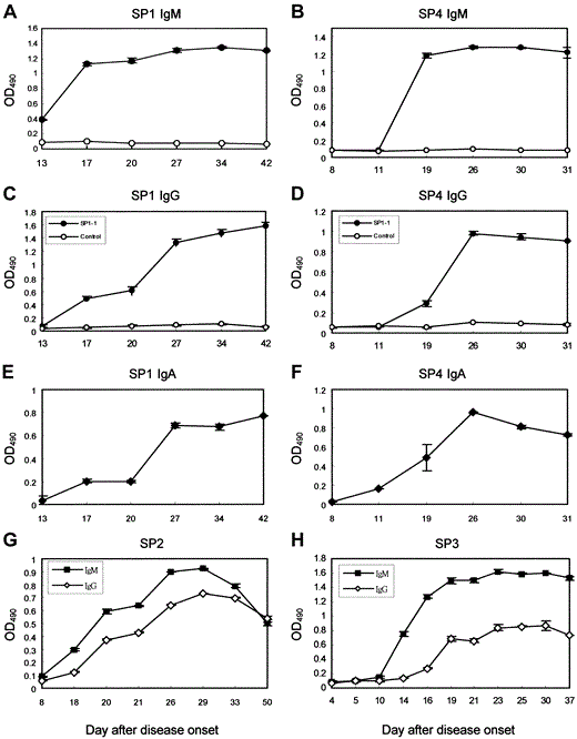 Kinetics of antibody response to a severe acute respiratory syndrome (SARS) viral infection. Kinetics of IgM, IgG, and IgA responses in patients with SARS were analyzed with phage clone SP1-1. IgM (A and B), IgG (C and D), and IgA (E and F) responses in patients SP1 and SP4 were measured by using phage clone SP1-1, as described in Materials and Methods. IgM and IgG responses of 2 additional patients with SARS, SP2 (G) and SP3 (H), were also measured by using phage clone SP1-1, as described in Materials and Methods. Control phage clones did not react with serum samples from the patients with SARS. To study the kinetics of antibody response, we used phage clone SP1-1 but not synthetic peptide SP3M, because the background of ELISA increased when we used synthetic peptides as antigens for the detection of human IgM. OD490 , optical density at 490 nm.
