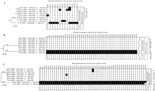 Phylogenetic trees and nonsynonymous mutations and corresponding amino acid changes of complete pol spike (S), and nucleocapsid (N) gene sequences of coronavirus HKU1 (CoV-HKU1) specimens from 9 patients with community-acquired pneumonia. The trees were inferred from pol (3A), S (3B), and N (3C) gene data by the neighbor-joining method, and bootstrap values were calculated from 1000 trees. The trees were rooted using pol S, and N gene sequences of human coronavirus OC43 (HCoV-OC43). A total of 2784 nt positions in each pol gene, 4071 nt positions in each S gene, and 1326 nt positions in each N gene were included in the analysis. The scale bar indicates the estimated no. of substitutions per 100 (A) and 50 (B and C) bases, using the Jukes-Cantor correction. The shaded nucleotides are those that differ from the majority at the corresponding location. Because of the large no. of nonsynonymous mutations in the S gene, only the NH2 terminal 45, of a total of 306 nonsynonymous mutations, is shown