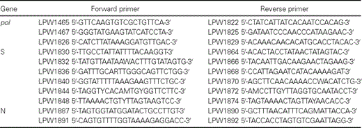 Primers used for amplification and sequencing of the pol, spike (S), and nucleocapsid (N) genes