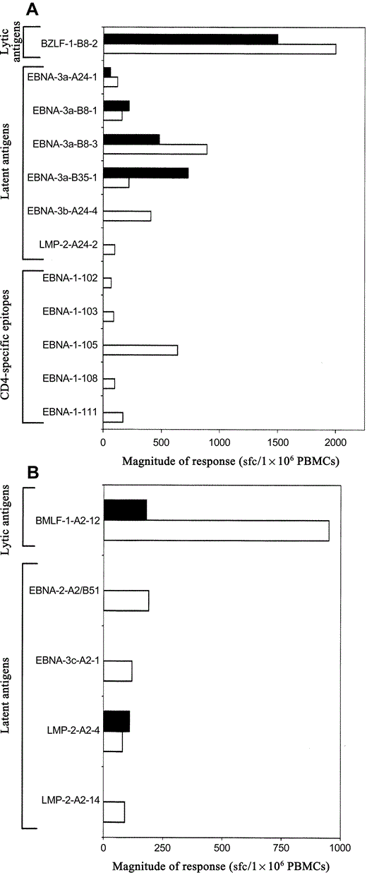 Epstein‐Barr virus–specific T cell responses during acute infectious mononucleosis (AIM) and 5 or 7 months later. A, Responses to CD8 T cell– and CD4 T cell–specific epitopes during AIM (black bars) and 5 months later (white bars) for subject K48. B, Responses to CD8 T cell– and CD4 T cell–specific epitopes during AIM (black bars) and 7 months later (white bars) for subject K50. Results are expressed as spot‐forming cells (sfc) per 1×106 peripheral blood mononuclear cells (PBMCs). Epitope sequences are shown in table 1. EBNA, Epstein‐Barr nuclear antigen; LMP, latent membrane protein.
