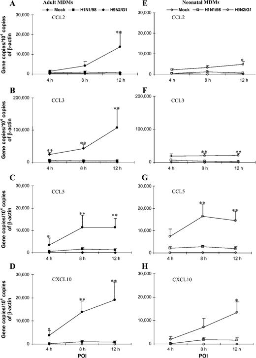 Kinetics of CCL2, CCL3, CCL5, and CXCL10 mRNA expression in influenza virus–infected adult and neonatal monocyte-derived macrophages (MDMs). The graphs depict the kinetics of CCL2, CCL3, CCL5, and CXCL10 mRNA expression in mock-infected, H1N1/98-infected, and H9N2/G1-infected adult MDMs (A–D) and neonatal MDMs (E–H). After influenza virus infection, total RNA was harvested at the 4-h, 8-h, and 12-h points of infection (POIs). The target genes were quantified by quantitative reverse-transcription polymerase chain reaction and normalized to 104 copies of β-actin mRNA. The data shown are the mean±SE from 6 sets of independent experiments. In contrast to H1N1/98, avian influenza virus H9N2/G1 induced higher levels of CCL2, CCL3, CCL5, and CXCL10. *P<.05; **P<.01