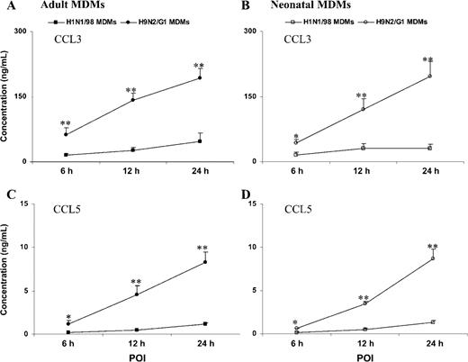 CCL3 and CCL5 produced in H1N1/98- and H9N2/G1-infected monocyte-derived macrophages (MDMs). The supernatants from H1N1/98- and H9N2/G1-infected MDMs were collected at the 6-h, 12-h, and 24-h points of infection (POIs) and assayed by ELISA, as described in Materials and Methods. At early time points (6-h and 12-h POIs) after infection with H9N2/G1, much higher concentrations of CCL3 and CCL5 were detected in adult MDMs than in neonatal MDMs. Compared with those from H1N1/98-infected MDMs, there were 5–10-fold increases in CCL5 and CCL3 concentrations in the culture supernatants from H9N2/G1-infected MDMs at the 24-h POI. The data shown are the mean±SE from 5 sets of independent experiments. *P<.05; **P<.01