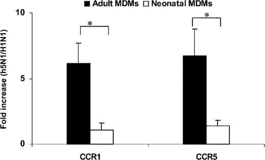 Enhanced CCR1 and CCR5 expression in H5N1/97-infected adult monocyte-derived macrophages (MDMs). After influenza virus infection, total RNA was harvested at the 7-h point of infection. The target genes were quantified by quantitative reverse-transcription polymerase chain reaction and normalized to 104 copies of β-actin mRNA. The fold increase is the normalized no. of target-gene copies in H5N1/97-infected MDMs divided by the no. in H1N1/98-infected MDMs. Higher fold increases in CCR1 and CCR5 expression were detected in H5N1/97-infected adult MDMs than in neonatal MDMs. The data shown are the mean±SE from 6 sets of independent experiments. *P<.05