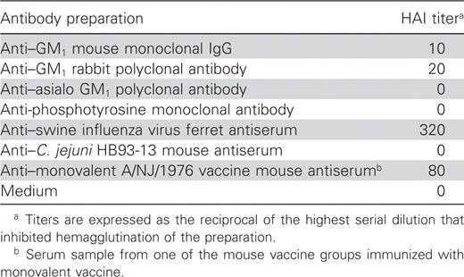 Hemagglutination inhibition (HAI) activity of different antibody preparations, including anti-GM1 ganglioside, anti-influenza virus, anti-Campylobacter jejuni, and anti-influenza vaccine antibodies.