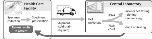 Current paradigm for viral load testing. Specimens are preserved at the point of care and are typically shipped under cold chain to a central laboratory that has the facilities for high-throughput sample processing and nucleic acid amplification testing.