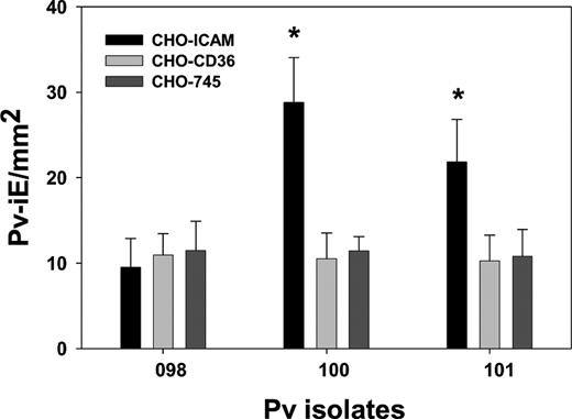 Adhesion of Plasmodium vivax–infected erythrocytes (Pv-iEs) to specific receptors. Pv-iEs (5 × 104 cells/well) were allowed to adhere to CHO–intercellular adhesion molecule (ICAM), CHO-CD36, or control CHO-745 cells. Data are the mean number of bound Pv-iEs per square millimeter, normalized to an input of 1 × 103 Pv-iEs/mm2; error bars indicate standard deviations. * P < .001 for the comparison of adhesion to CHO-ICAM cells vs CHO-CD36 or CHO-745 cells (Kruskal-Wallis test).