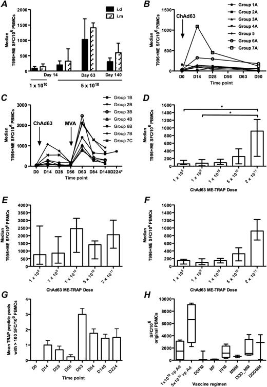 ELISPOT assays. A, Comparison of median ELISPOT responses at comparable doses via intradermal and intramuscular routes. Error bars represent interquartile ranges (IQRs); no significant differences were observed. B and C, Median ELISPOT responses postvaccination in A groups and B groups. D and E, Median ELISPOT responses day 14 and day 63 grouped by priming dose ChAd63 ME-TRAP; error bars represent IQRs. F, Peak median ELISPOT response by priming dose ChAd63 ME-TRAP; error bars represent IQRs. G, Mean number of peptide pools recognized at different time points (data for all volunteers analyzed using 1-way analysis of variance with Bonferroni post test; error bars represent standard errors of the mean. H, Cultured ELISPOT responses compared with previous trials (data shown represents median and IQR, analyzed by Kruskal-Wallis test with Dunn post test. (*P < .05; x-axis displays regimes used in previous clinical trials D = DNA ME-TRAP, F = FP9 ME-TRAP, M = MVA ME-TRAP.)