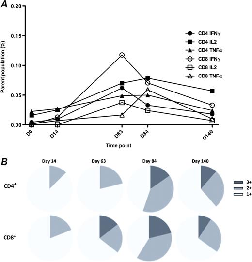 Flow cytometry. A, Percentage of parent populations (CD4+ or CD8+) secreting named cytokine over time. IFN-γ responses peak 7 days post-MVA boost with the frequency of CD8+ T cells secreting IFN-γ increasing significantly between baseline and D63 (P < .05, Kruskal-Wallis with Dunn posttest correction). B, Polyfunctionality of TRAP-specific CD4+ or CD8+ T cells over time. T cells capable of secreting all 3 cytokines are only detected after boosting with MVA.