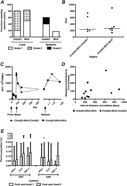 Reboosting. A, Local and systemic adverse events occurring post reboosting with ChAd63 ME-TRAP and MVA ME-TRAP. B, Interval between first boosting vaccination with MVA and reboosting with either vector. Bar represents median interval for each group. C, Median enzyme-linked immunospot (ELISPOT) responses after reboosting; peak response post-MVA reboost 1169 SFC/106 peripheral blood mononuclear cells (PBMCs), peak response post-ChAd63 reboost 1558SFC/106 PBMCs). D, Relationship between reboosting interval and response to reboost (Spearman rank correlation r = 0.64, P = .035). E, Cytokine responses to first and second boosting vaccinations for all subjects in group 8, showing percentage of parent population (either CD4+ or CD8+ T cells), secreting named cytokine.