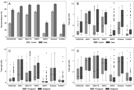 Antibodies to Plasmodium species blood-stage antigens at enrollment. Antibody levels were determined in all available case (n = 124) and control (n = 320) samples at enrollment (median 10 weeks gestation). (A) Seroprevalence with standard errors and (B) boxplots of antibody levels in case and control subjects. Horizontal lines represent medians, boxes represent interquartile range, and lines represent ranges with outliers represented as dots. Antibody prevalences and levels were significantly higher in case than in control subjects (P < .001). Antibody levels according to gravidity in control subjects (C) and case subjects (D). In case and control groups, there was no association between gravidity and antibody levels (P > .17).