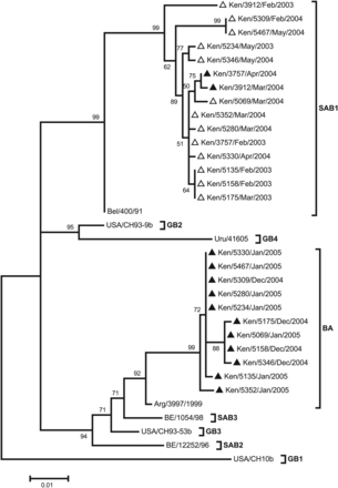 A maximum likelihood tree showing the evolutionary relationship of strains from subjects who experienced homologous group B reinfections. The tree is based on sequences from 11 subjects and reference sequences representing genotypes GB1-4, SAB1-3 and the BA. Their GenBank accession numbers are CH10b, AF065250; CH93-9B,AF065251; CH93-53B, AF065253; BE/400/91, AY751275; BE/12252/96, AY751241; BE/1054/98,DQ985156; Uru/41605; AF251557; and Arg//3997/1999, DQ227366. The empty triangles represent first infections, and the dark, filled triangles represent the second infections.
