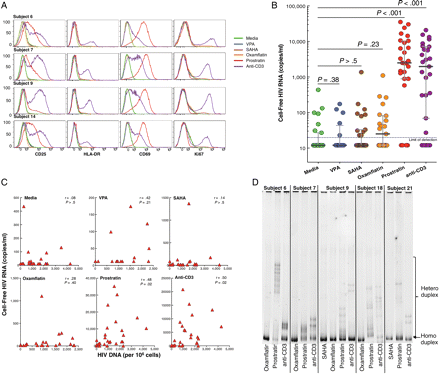 Effect of histone deacetylase inhibitors (HDACis; valproic acid [VPA], suberoylanilide hydroxamic acid [SAHA], or oxamflatin) and T-cell mitogens (prostratin or anti-CD3 antibody) on cellular activation and viral production in resting CD4+ T cells from aviremic individuals infected with human immunodeficiency virus (HIV). A, Level of cellular activation and proliferation of resting CD4+ T cells following treatment with study agents. B, Quantitation of cell-free HIV RNA in the culture supernatants of resting CD4+ T cells incubated with the corresponding agents. The median value and interquartile range is shown as dark gray bars and light gray lines, respectively. Undetectable levels of HIV RNA were scored as 19 copies/mL. The Wilcoxon signed rank test was used to compare paired data. C, Relationship between HIV DNA burden and virion production in the latent viral reservoir of aviremic individuals. The correlation between the frequency of cells carrying HIV DNA and the level of virion production by resting CD4+ T cells following treatment with study agents is shown. Correlations were determined by the Spearman rank method. D, Examination of viral quasi-species by heteroduplex mobility assay (HMA). Virion-associated HIV RNA from resting CD4+ T-cell cultures was subjected to amplification of HIV env by polymerase chain reaction and HMA.