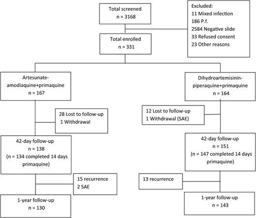 Study flowchart. Abbreviations: P.f., Plasmodium falciparum; SAE, severe adverse event.
