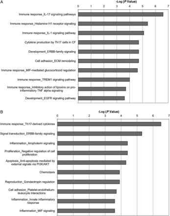 Pathways (A) and networks (B) enriched in reconstituted human oral epithelium 6 hours after infection with Candida albicans.