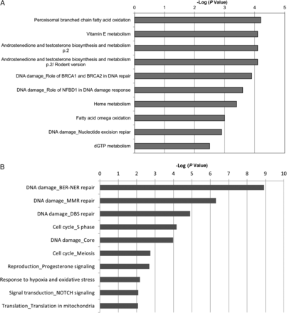 Pathways (A) and networks (B) enriched in reconstituted human oral epithelium 24 hours after infection with Candida albicans.