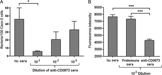 Adherence of Clostridium difficile to Caco-2 cells is inhibited by CD0873 antibodies. A, Adherence of wild-type C. difficile to Caco-2 monolayers after the bacterial cells were preincubated with CD0873 antisera. Cell-binding was measured by colony-forming unit counts. The values are mean numbers of the adherent bacteria per 100 Caco-2 cells. The assay was performed in duplicate in 3 independent experiments. The presented values are mean numbers (with standard errors of the mean). *P = .0132, compared with no-sera control, by the 2-tailed t test. B, Adherence of wild-type C. difficile to Caco-2 monolayers after preincubation of the bacteria with either CD0873 antisera or preimmune sera. Cell binding was determined by on-cell Western assay by measuring the fluorescence intensity, as described in Materials and Methods. Intensities indicated on the graph are normalized to the intensities measured with the Caco-2 cells–only control. ***P < .001, by 1-way analysis of variance (n = 5).