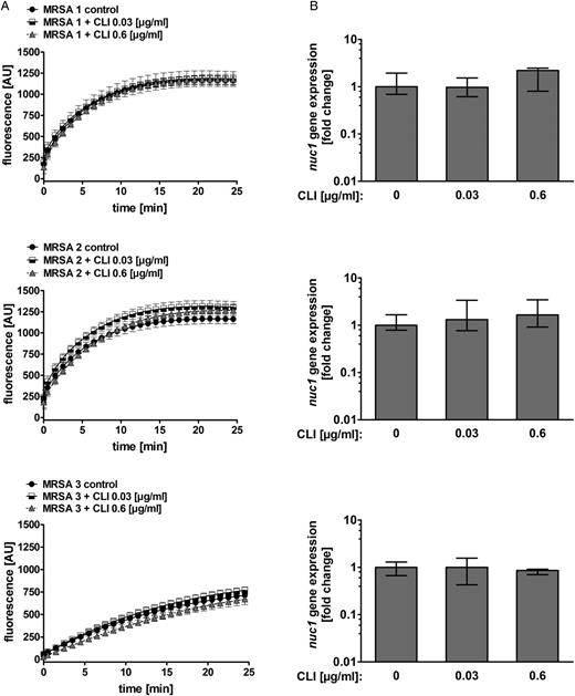 Effect of clindamycin on nuclease activity and nuc1 transcription in clindamycin-resistant methicillin-resistant Staphylococcus aureus (MRSA) isolates. A, Clindamycin-resistant S. aureus cultures (MRSA 1, 2, and 3) grown to postexponential phase with 0.03 and 0.6 µg/mL clindamycin did not result in significant alteration of nuclease activity. DNA cleavage events were measured as increase in fluorescence (AU, arbitrary units). Data were pooled from 3 independent experiments, each performed in triplicate (means ± standard errors of the mean). B, Relative transcript levels of nuc1 derived from MRSA 1, 2, and 3 grown without clindamycin and 0.03 and 0.6 µg/mL clindamycin were determined by means of quantitative reverse-transcription polymerase chain reaction. Fold change ratios were calculated by normalizing complementary DNA levels of nuc1 against one of the reference genes (gyrB or rpoD). Data are presented as median fold change of nuc1 gene expression, and error bars indicate interquartile range for each data set. Experiments were performed with ≥3 independent samples. Abbreviation: CLI, clindamycin.