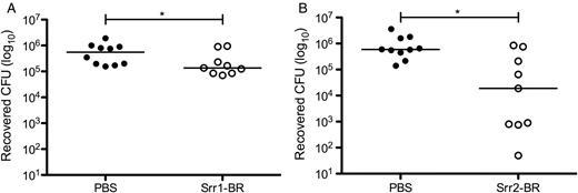 Srr-BR peptides compete with WT GBS to reduce vaginal bacterial load in vivo. Purified Srr1-BR (A) or Srr2-BR (B) was introduced to the murine vaginal lumen 1 hour before and 1 hour after inoculation with 1 × 107 CFUs of WT NCTC 10/84. Five hours postinoculation, vaginal tracts were swabbed, and recovered GBS quantified as described in Materials and Methods. Dots represent values for individual mice and lines represent median values. Experiments were conducted independently at least twice, and data from 1 representative experiment are shown. Data were analyzed by Mann–Whitney test. *P < .05. Abbreviations: BR, binding region; CFUs, colony-forming units; GBS, group B streptococcus; PBS, phosphate buffered saline; Srr, serine-rich repeat; WT, wild type.