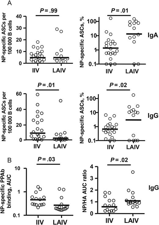 Nuclear protein (NP)–specific plasmablast responses to live attenuated influenza vaccine (LAIV) and inactivated influenza vaccine (IIV). A, Frequency of NP-specific immunoglobulin A (IgA) and immunoglobulin G (IgG) antibody-secreting cells (ASCs) (left panels) and percentage of NP-specific ASCs among total vaccine-specific ASCs (right panels) after immunization with 2011 LAIV or IIV. The NP-specific ASCs were measured with enzyme-linked immunosorbent spot plates coated with recombinant NP. B, Binding activity of NP-specific IgG plasmablast-derived polyclonal antibodies (PPAbs) from recipients of 2010 IIV or recipient of 2010 LAIV (left panel) and relative NP binding activity normalized to HA (H1N1) binding activity (right panel). The binding activity was calculated as the area under curve (AUC) of serially diluted PPAb samples, using an enzyme-linked immunosorbent assay (ELISA) with recombinant NP- or HA-coated ELISA plates, starting at a dilution of 1:100 for NP or 1:1000 for HA. Bars indicate geometric means. Means were compared between IIV and LAIV groups by an unpaired t test or by fitting a regression model, using the generalized maximum entropy approach.