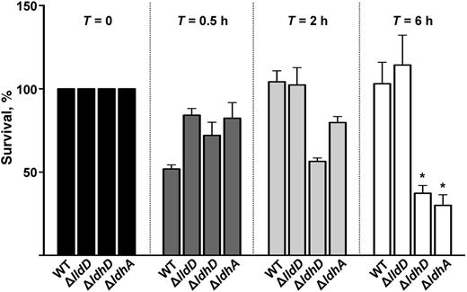 The percentage of survival of Neisseria gonorrhoeae wild type and isogenic mutants ΔlldD, ΔldhD, and ΔldhA after incubation with human polymorphonuclear leukocytes. These data demonstrate the intracellular survival and growth of bacteria at time points (T) 0, 0.5, 2, and 6 hours after infection. Intracellular counts were normalized to T = 0 (100%); subsequent time points were expressed as the percentage survival of T = X compared with T = 0. At T = 6 hours, only ΔldhD and ΔldhA had reduced intracellular survival compared with wild type (WT). *P < .01 (Student's t test).