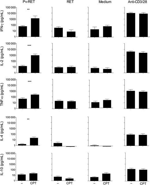 Blockage of CTLA-4, PD-1, and TIM-3 signaling during P. vivax infection enhances cytokine production. PBMCs from P. vivax–infected patients were cultured with P. vivax–infected reticulocytes (Pv-RET), uninfected reticulocytes (RET), medium alone, and anti-CD3/anti-CD28 (from left to right), in the absence (−) or presence of anti-CTLA-4 plus anti-PD-L1 plus TIM-3 blocking antibodies (CPT). Supernatant was collected after 96 hours of culture, and the levels of IFN-γ, IL-2, TNF-α, IL-4, and IL-10 were measured by cytometric bead array. Bars indicate mean values, and lines represent standard error from 12 patients pooled from 3 independent experiments (n = 12). **.001 < P < .01 and ***P < .001. Abbreviations: CTLA-4, cytotoxic T-lymphocyte attenuator-4; IFN, interferon; IL, interleukin; PBMCs, peripheral blood mononuclear cells; PD-1, programmed death-1; PD-L1, programmed death-ligand 1; TIM-3, T-cell immunoglobulin and mucin–3; TNF, tumor necrosis factor.