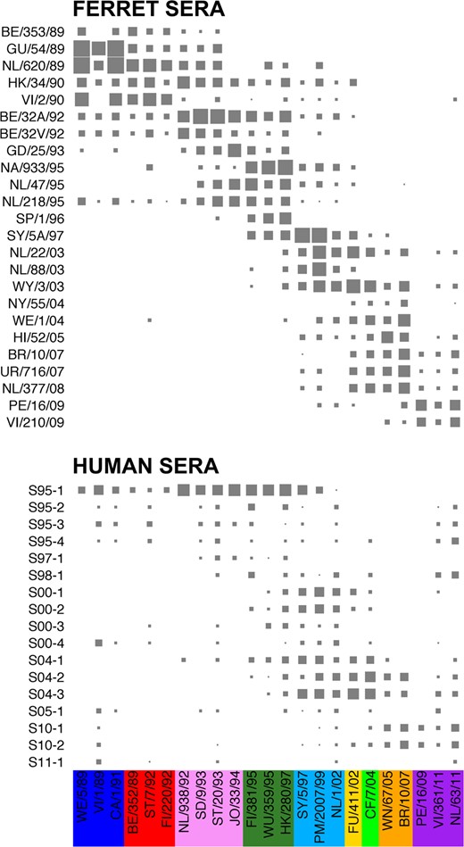 The measured hemagglutination inhibition (HI) titer with an increasing symbol size (<10 are size 0) for the ferret sera (top) and human sera (bottom), sorted by the year of isolation of the infecting virus and the year of serum collection, respectively, against the viruses sorted by their antigenic cluster. Different antigenic clusters are indicated with different colors, as follows: blue, Sichuan-87 cluster; red, Beijing-89 cluster; pink, Beijing-92 cluster; dark green, Wuhan-95 cluster; light blue, Sydney-97 cluster; yellow, Fuijan-02 cluster; light green, California-04 cluster; orange, Brisbane-07 cluster; and purple, Perth-09 cluster. See also Supplementary Data Sets 2 and 3.