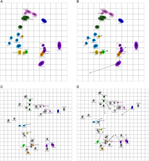 Addition of 2 additional sera to the human antigenic map. A, Antigenic map of sera from the 6 high responders plus 2 additional sera with titers of at least 240. B, Procrustes arrows displaying for each virus and serum in panel A its corresponding position in Figure 2. C, Antigenic map of ferret data, using the same virus set as in panel A. D, Procrustes arrows showing the position of each virus in the ferret antigenic map shown in panel C in the human antigenic map shown in panel A.