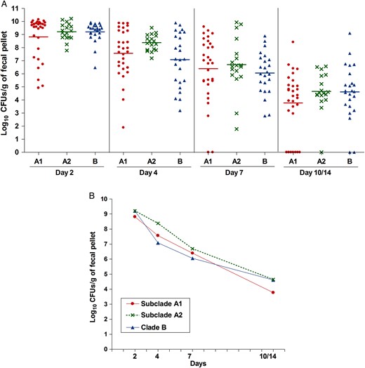 Aggregate gastrointestinal tract (GIT) colonization by the different Enterococcus faecium clades after mono-inoculation of 12 strains. A , Distribution of the numbers of bacteria recovered from fecal pellets on days 2–14 on enterococcosel agar with 8 μg/mL nitrofurantoin after orogastric administration of the 12 E. faecium strains. Each symbol represents the log 10 colony-forming units (CFUs) per gram recovered from fecal pellets of individual mice; the horizontal lines indicate the geometric mean log 10 CFUs per gram of all strains of each clade or subclade. B , Composite comparison of numbers of bacteria by clades. Each symbol represents the geometric mean log 10 CFUs per gram recovered from fecal pellets of 30, 18, and 24 mice after orogastric administration of the subclade A1, subclade A2, and clade B strains, respectively.