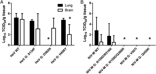 Effect of neutralization escape on replication of henipaviruses in hamsters. Lung (black bar) and brain (white bar) titer results for hamsters infected with wild-type (WT) and neutralization-escape mutants of Hendra virus (HeV; A) and Nipah virus strain Malaysia (NiV-M; B) when moribund. Lung and brain tissues were harvested from infected hamsters when moribund and were assayed for infectious virus as described in “Materials and Methods” section. Tissue samples from 5 animals were analyzed. Error bars represent standard deviations. *P < .05 by 2-way analysis of variance, compared with the WT strain.