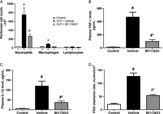 Kinin B1 receptor inhibition with BI113823 reduced cecal ligation and puncture (CLP)–induced peritoneal inflammatory cell accumulation and plasma levels of tumor necrosis factor α (TNF-α) and interleukin 1β (IL-1β) and reduced permeability of the intestinal mucosa to the fluorescent macromolecule FD4, compared with vehicle-treated rats, 15 hours following CLP. All values are means ± standard errors of the mean (n = 8). #P < .05 vs the control group; *P < .05 vs the vehicle group.