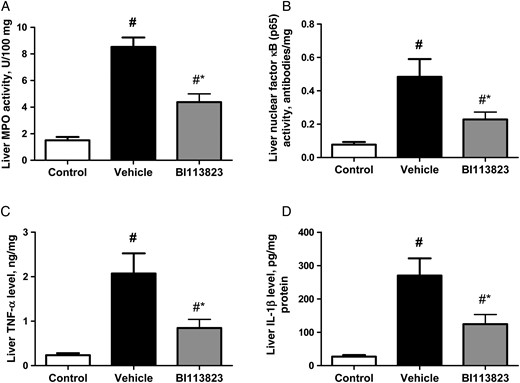 Myeloperoxidase (MPO) activity, nuclear factor κB (p65) binding activity, tumor necrosis factor α (TNF-α) level, and interleukin 1β (IL-1β) level in the liver tissue of sham-operated control rats and septic rats treated with vehicle, compared with those treated with BI113823, 15 hours following cecal ligation and puncture. All values are means ± standard errors of the mean (n = 7–8). #P < .05 vs the control group; *P < .05 vs the vehicle group.